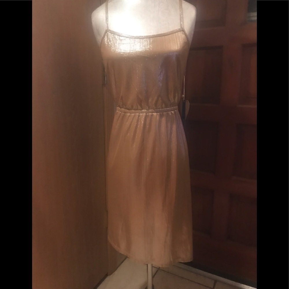 Gold Dress 🌈